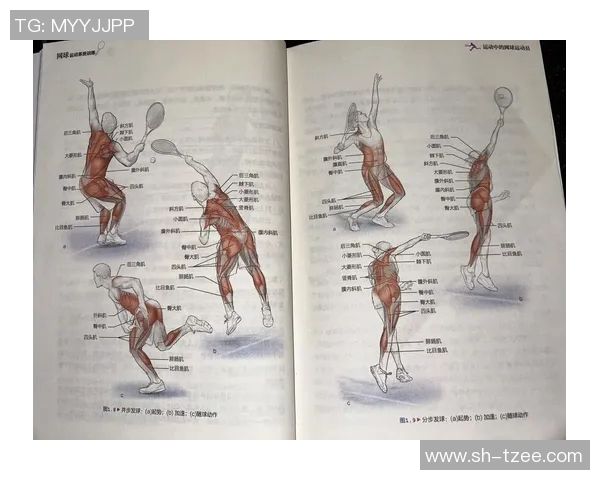 网球比赛规则全面解析：从发球到得分的每个细节都不容忽视